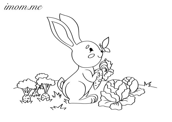 Раскраски заяц с капустой (57 фото)