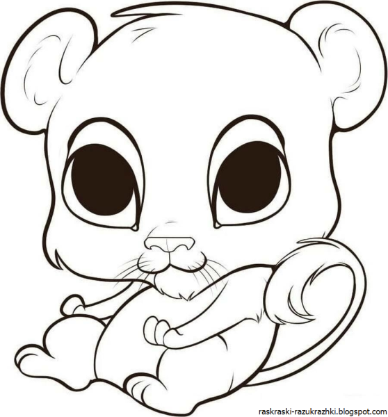 Раскраска Littlest Pet shop