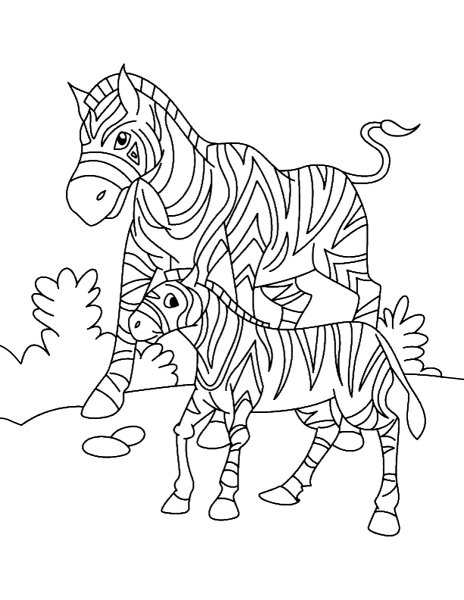 Зебра раскраска