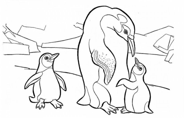 Пингвин раскраска