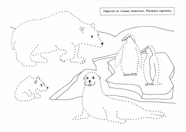 Животные севера задания для детей