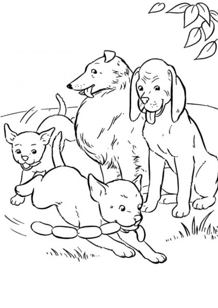 Раскраска собака и щенок для детей
