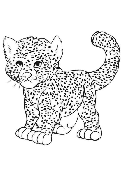Леопард раскраска для детей 3-4 лет
