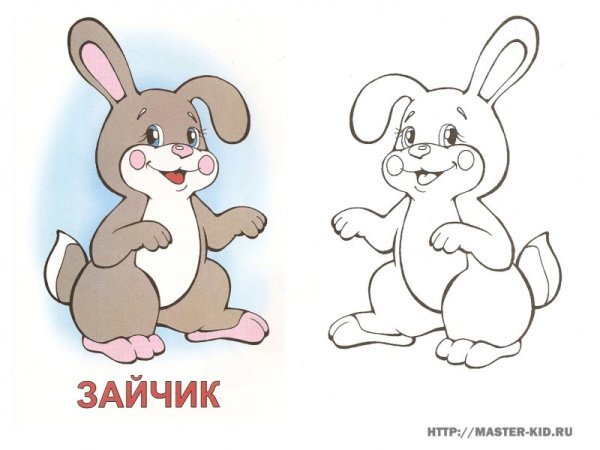 Заяц раскраска