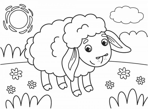 Раскраски животных овечка (69 фото)