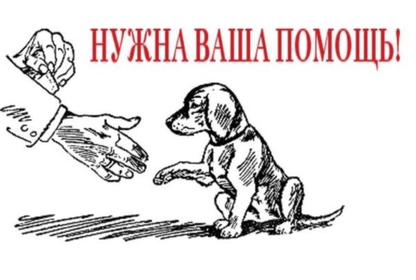 Плакат помоги животным