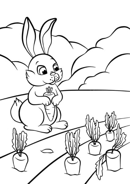 Раскраски заяц и морковь (58 фото)