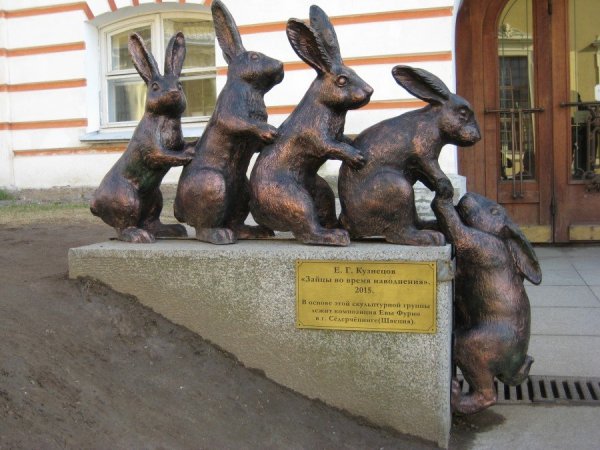 Заяц в Петропавловской крепости в Санкт-Петербурге
