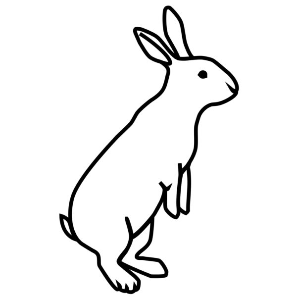 Заяц раскраска