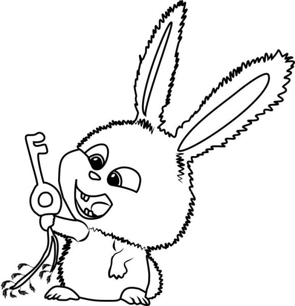 Раскраски зайцы мультфильм (55 фото)