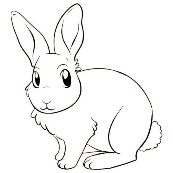Раскраски заяц раскрашенная (58 фото)