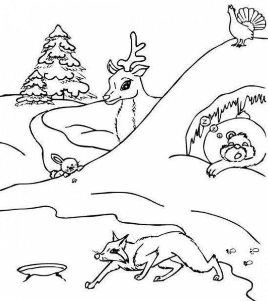 Раскраска животные зимой в лесу для детей
