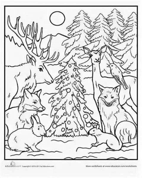Раскраска животные в зимнем лесу
