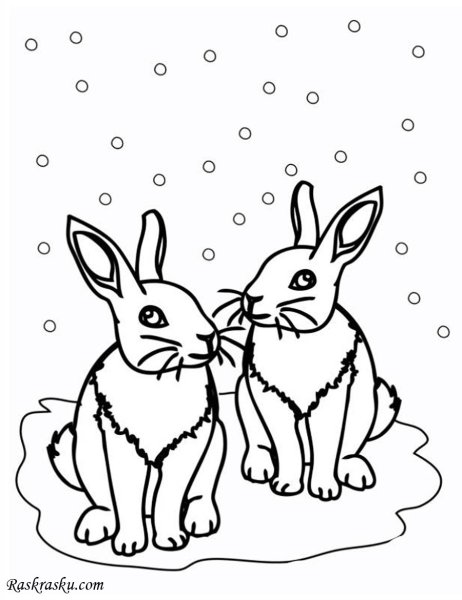 Раскраска заяц зимой