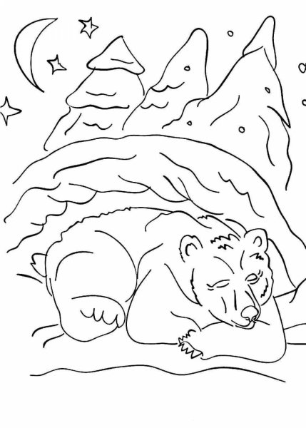 Медведь зимой раскраска для детей