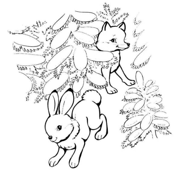 Раскраски лесных животных для детей