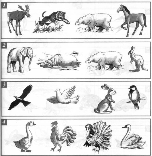 Задание животные и птицы