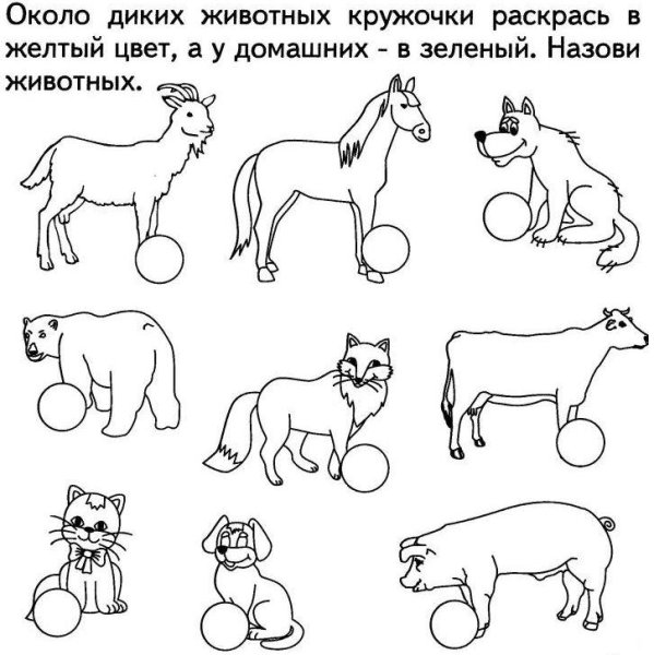 Задания по окружающему миру для дошкольников