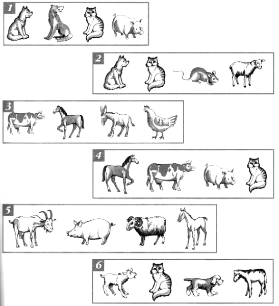 Дикие и домашние животные задания для дошкольников