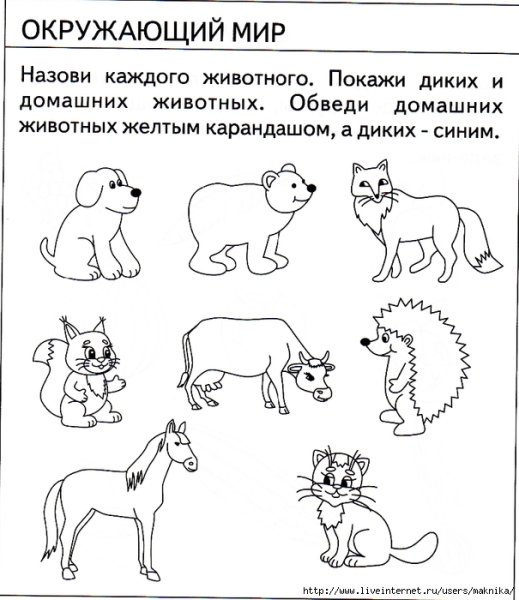 Задания по окруж миру для дошкольников