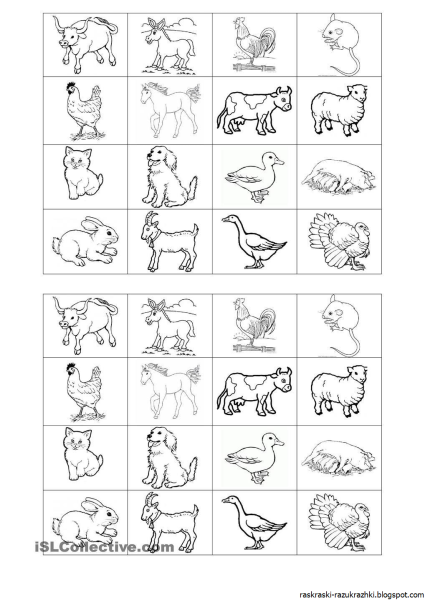 Животные для детей раскраски карточки