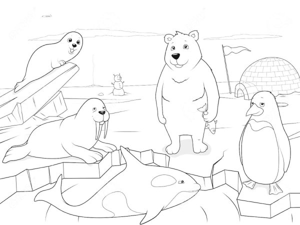 Раскраски Северный полюс для детей