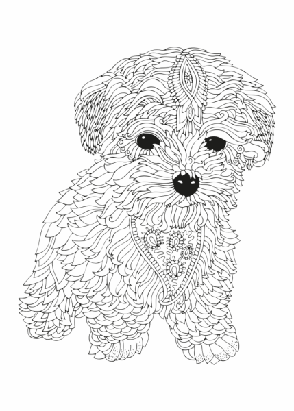 Раскраска для девочек антистресс собака