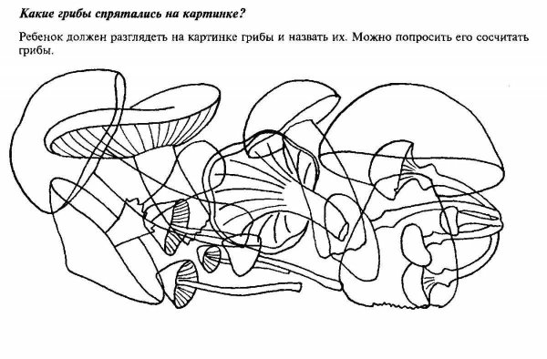 Задания на тему грибы для дошкольников