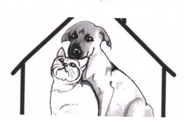 Приют для собак рисунок