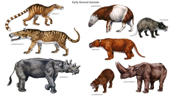 Вымершие доисторические млекопитающие