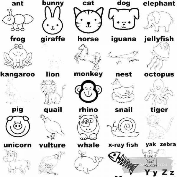 Животные на английском для детей