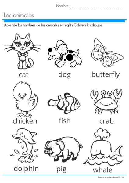 Животные фермы на английском для детей раскраски