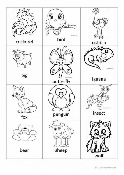 Животные на английском для детей раскраска