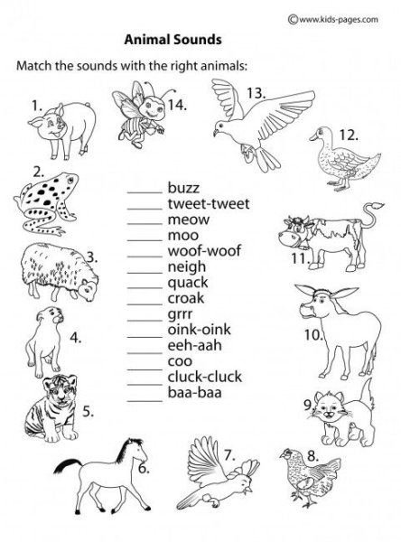Животные на английском задания