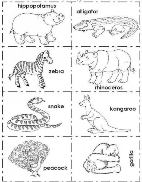 Животные на английском для малышей раскраска