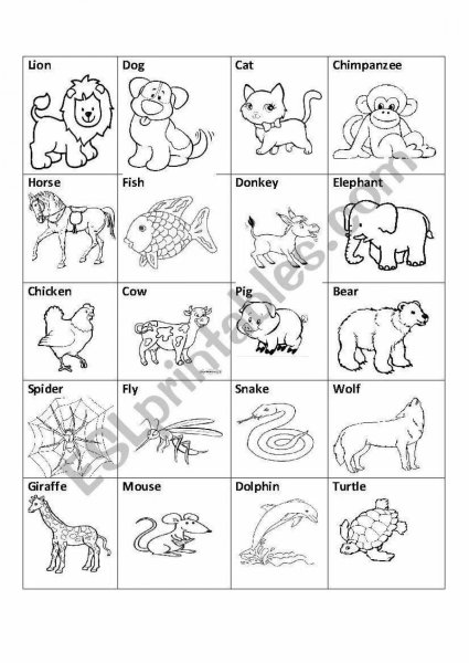 Животные на английском задания