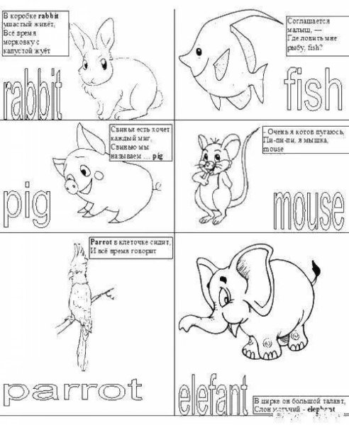 Задания по английскому про животных для детей