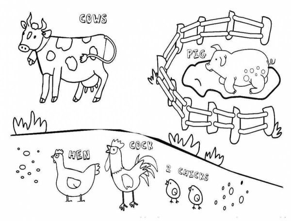 Животные фермы раскраска на английском