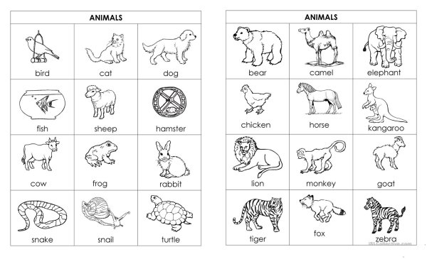Задания на английском для малышей животные