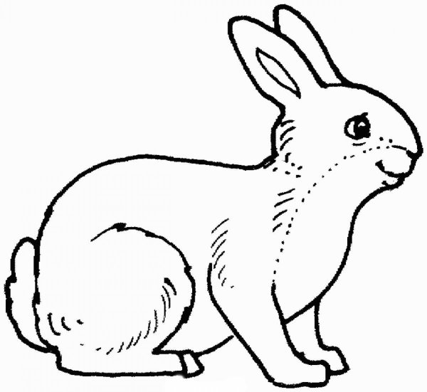 Раскраска. Игрушки