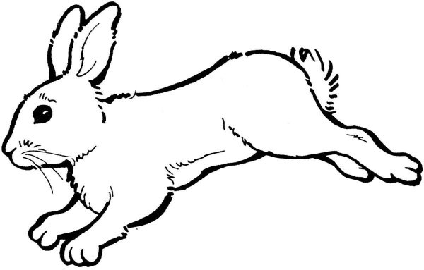 Раскраски заяц силуэт (57 фото)