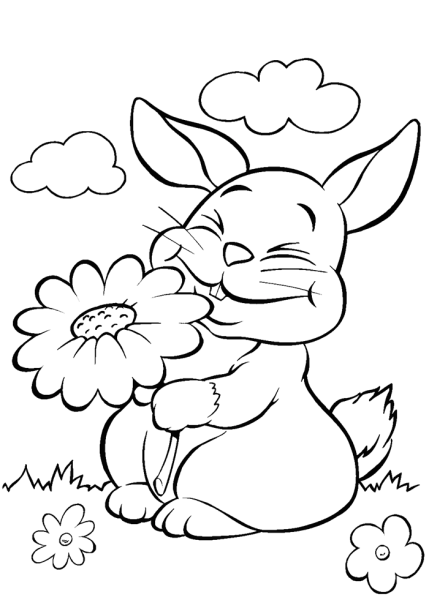 Раскраски заяц с цветком (56 фото)