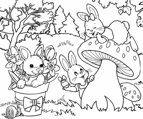 Раскраски заяц на полянке (54 фото)