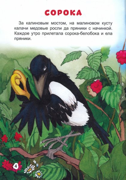 Иллюстрация к сказке сорока Сорочьи сказки
