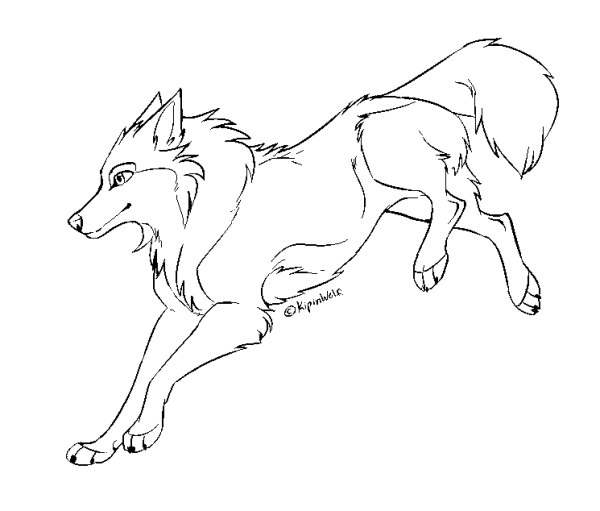 Wolf Lineart