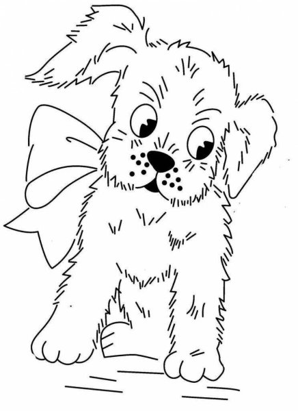 Раскраска Проф-Пресс Картины для раскрашивания по номерам Кошки и собаки