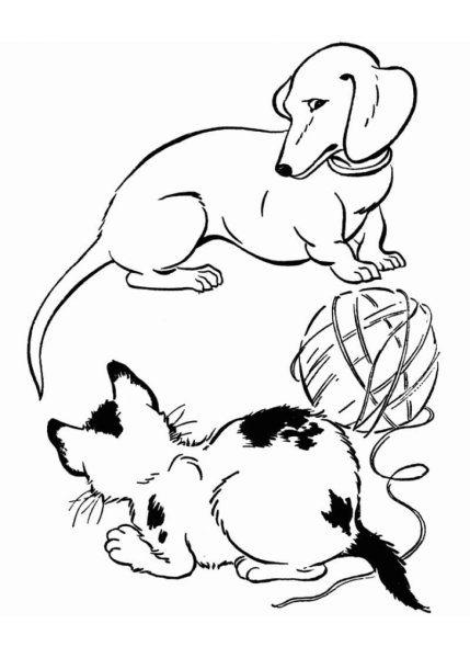 Кошки и собаки. Раскраска