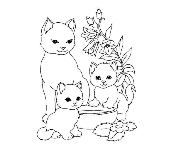 Раскраска кошка с котятами
