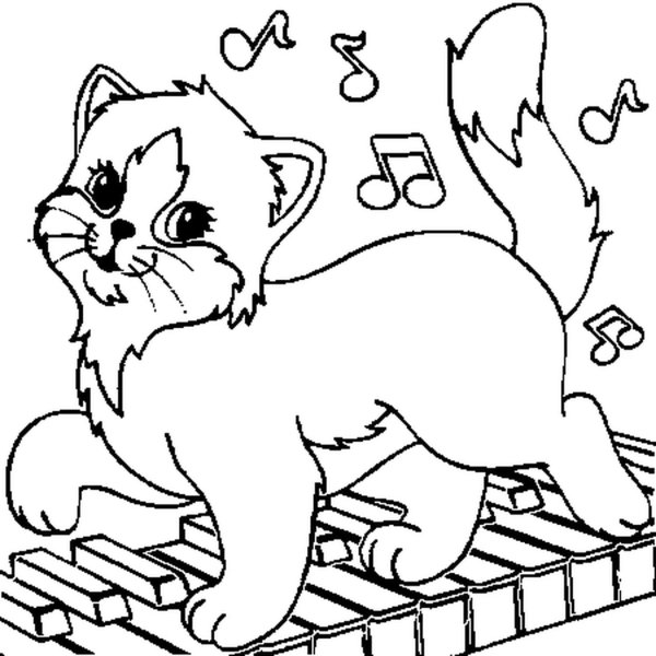 Раскраски коты и собаки