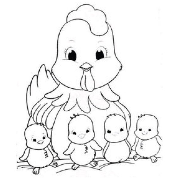 Цыпленок. Раскраски